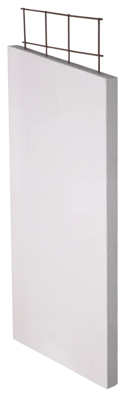 Walsc AAC Panel 2550x600x50mm, 15/Pack